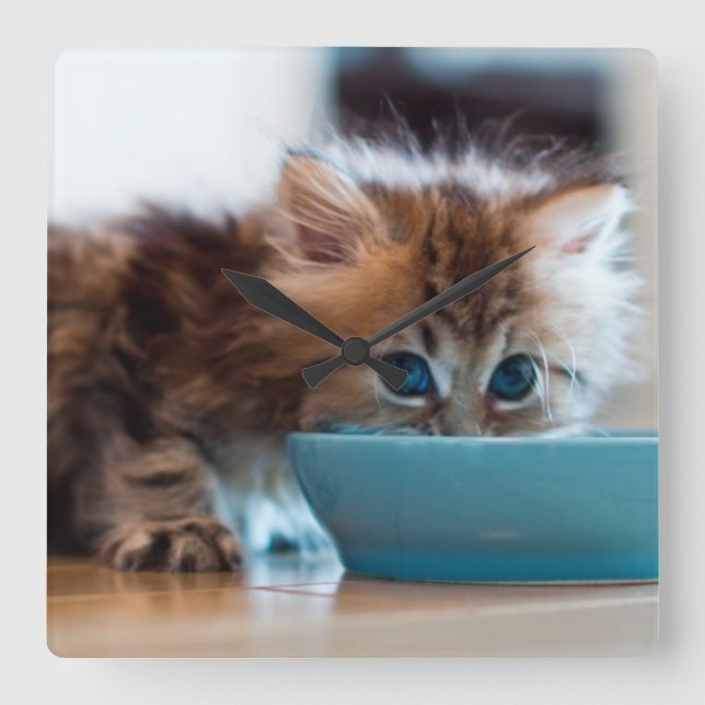 Ung persisk kattunge fyrkantig klocka (Framsida)