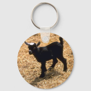 Ung Pigmyget Nyckelring