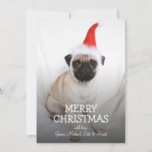 Ung pug med tomhatt julkort