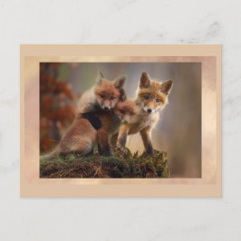 Ung Rävtrio som poserar Postcrossing vykort