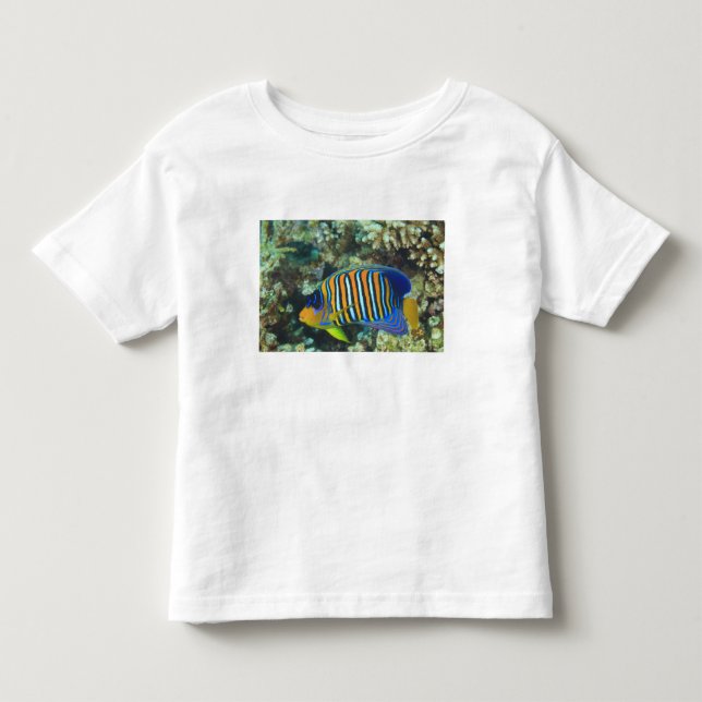 Ung Regal ängelfisk Pygoplites Tee Shirt (Framsida)