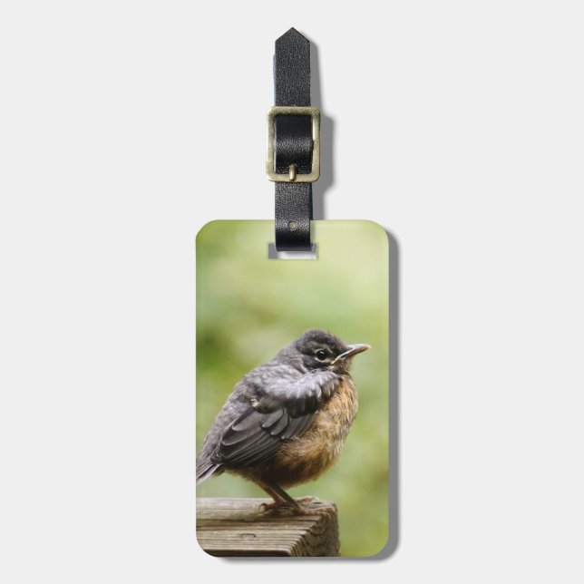 Ung Robin Bagagebricka (Vertikal Framsida)