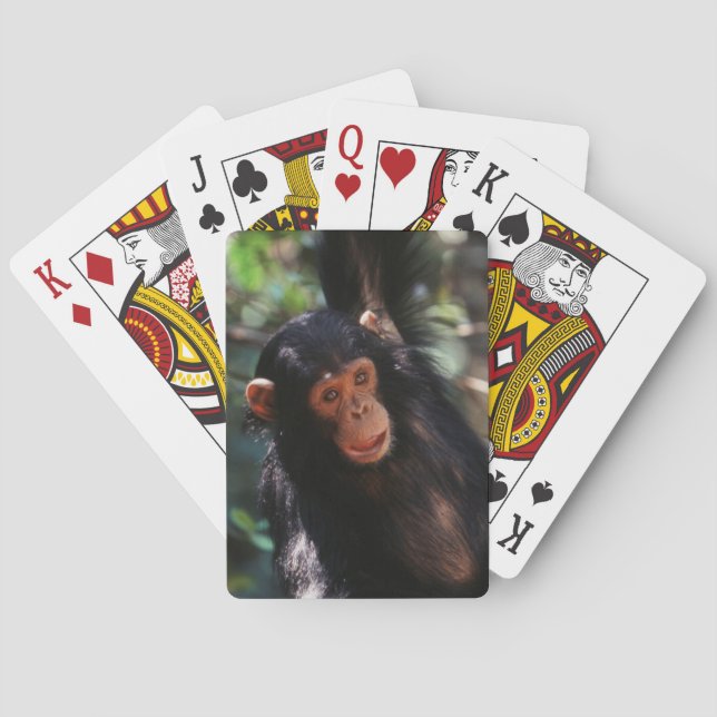 Ung schimpans spel kort (Baksidan)