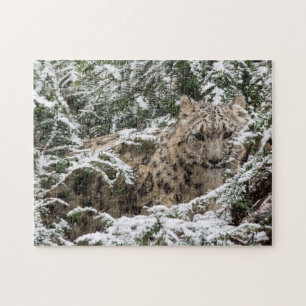 Ung snöLeopard Pussel