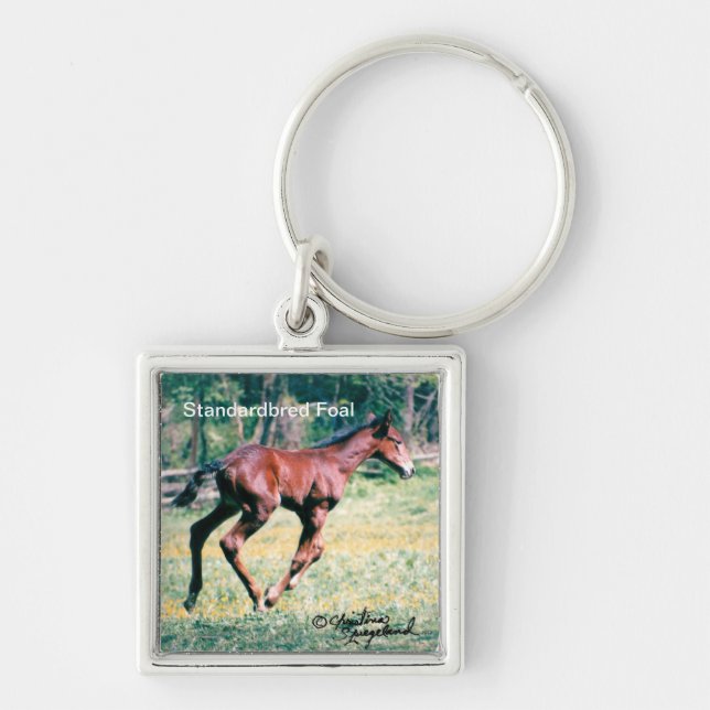 Ung standardavlad galloping-nyckelkedja fyrkantig silverfärgad nyckelring (Framsidan)