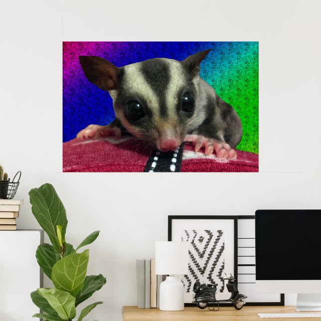 Ung Sugar Glider-affisch Poster (Hemmakontoret)