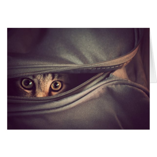 Ung Tabbykattunge Hälsningskort (Framsidan Horizontal)