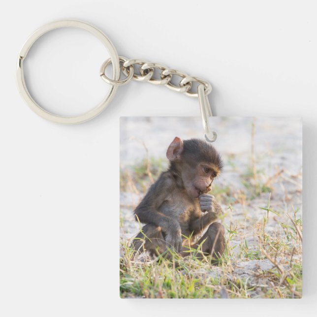 Unga baboon (Framsidan)