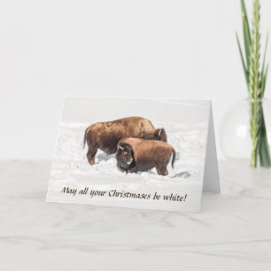 Unga Buffalo eller Bison med förälder Kort