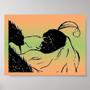 Unga eller gamla kvinnobilder Poster