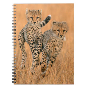 unga geparder (Acinonyx Jubatus) springer Anteckningsbok