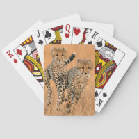 unga geparder (Acinonyx Jubatus) springer