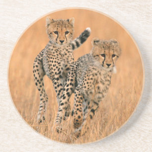 unga geparder (Acinonyx Jubatus) springer Underlägg