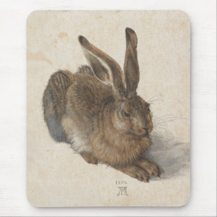 Unga Hare Albrecht Durer Musmatta