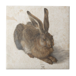 Unga Hare av Albrecht Durer Kakelplatta