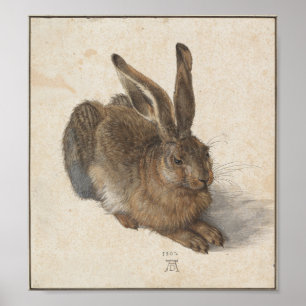 Unga Hare av Albrecht Durer Poster