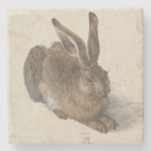 Unga Hare av Albrecht Durer