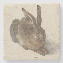 Unga Hare av Albrecht Durer Underlägg Sten