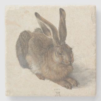 Unga Hare av Albrecht Durer Underlägg Sten