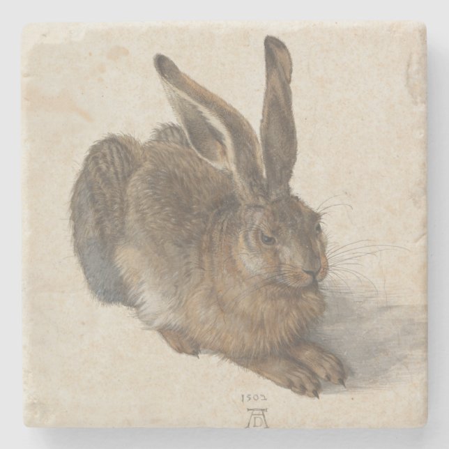 Unga Hare av Albrecht Durer Underlägg Sten (Framsidan)