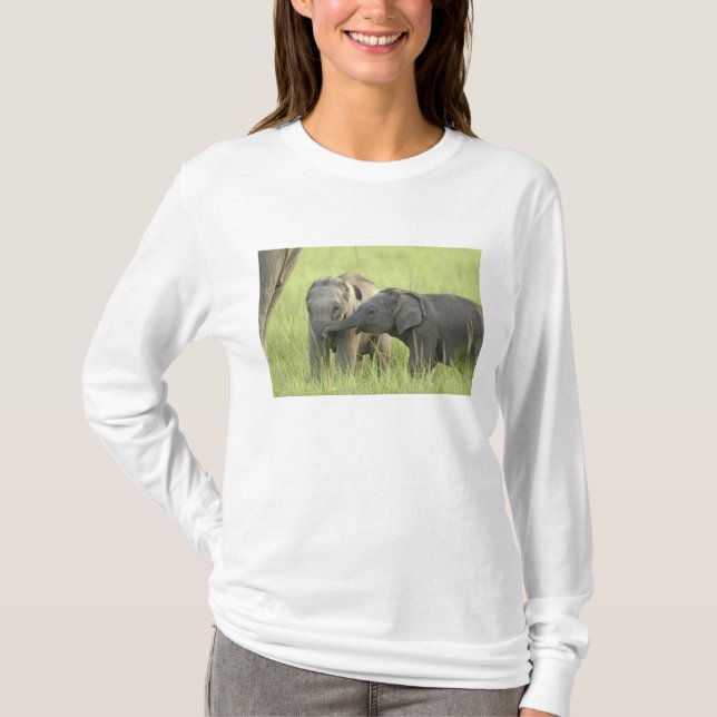 Unga individer av Indisk / Asiatisk Elefant T Shirt (Framsida)
