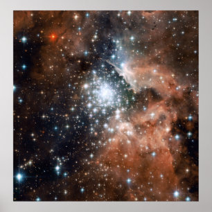 Unga klustret NGC3603 Poster
