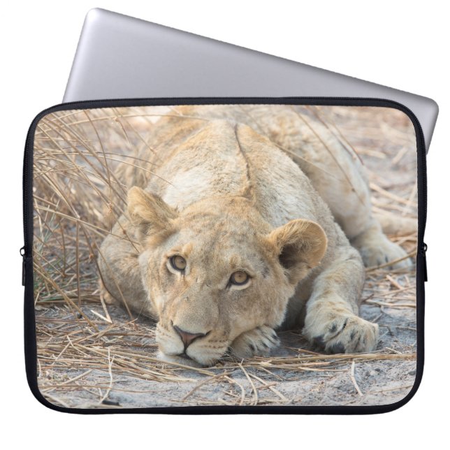 Unga lejona laptop fodral (Framsidan)