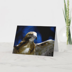 Unga örlar flyger bort (kort) kort