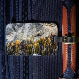 Unga Päls-sälen på Sten Bagagebricka