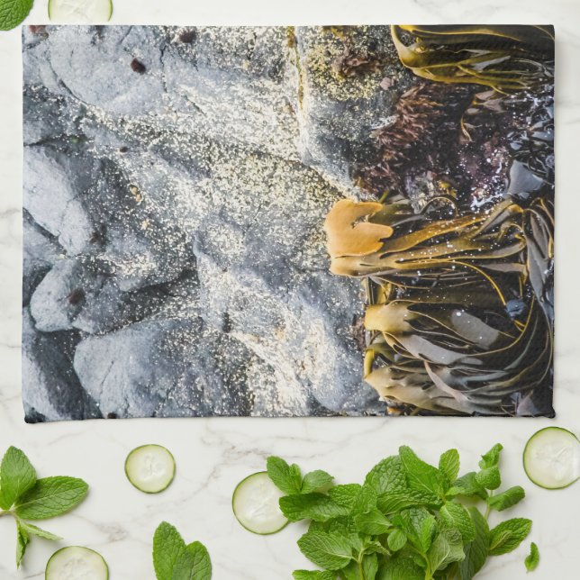 Unga Päls-sälen på Sten Kökshandduk (Vikta)