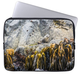 Unga Päls-sälen på Sten Laptop Fodral