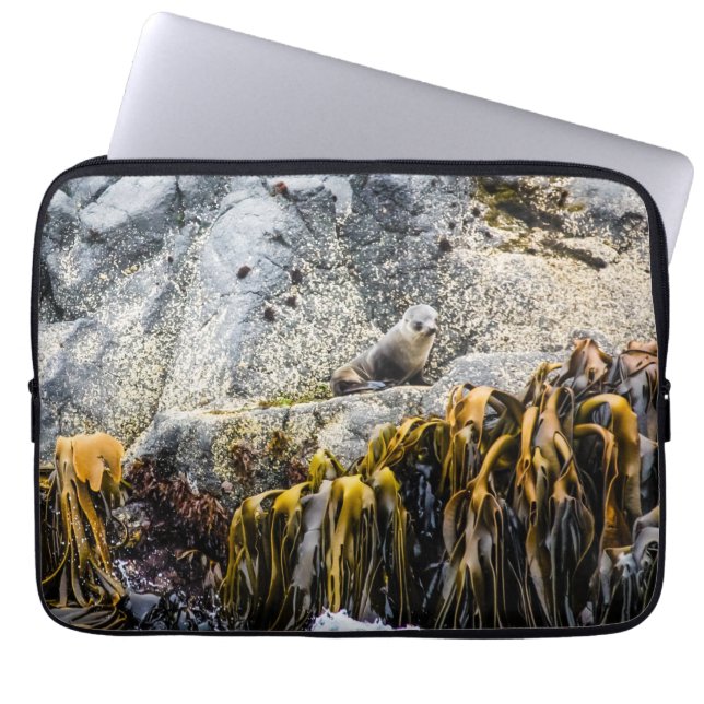 Unga Päls-sälen på Sten Laptop Fodral (Framsidan)