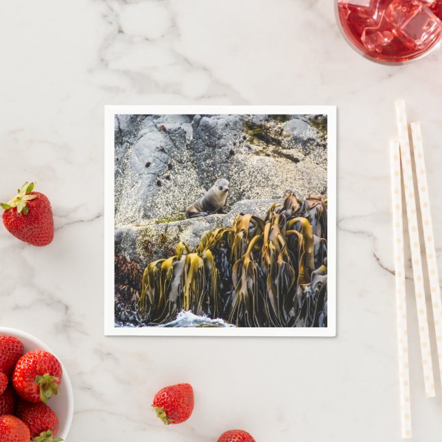 Unga Päls-sälen på Sten Pappersservett (Insitu)