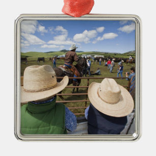 Unga pojkar på Hughes Ranch 2007 Julgransprydnad Metall