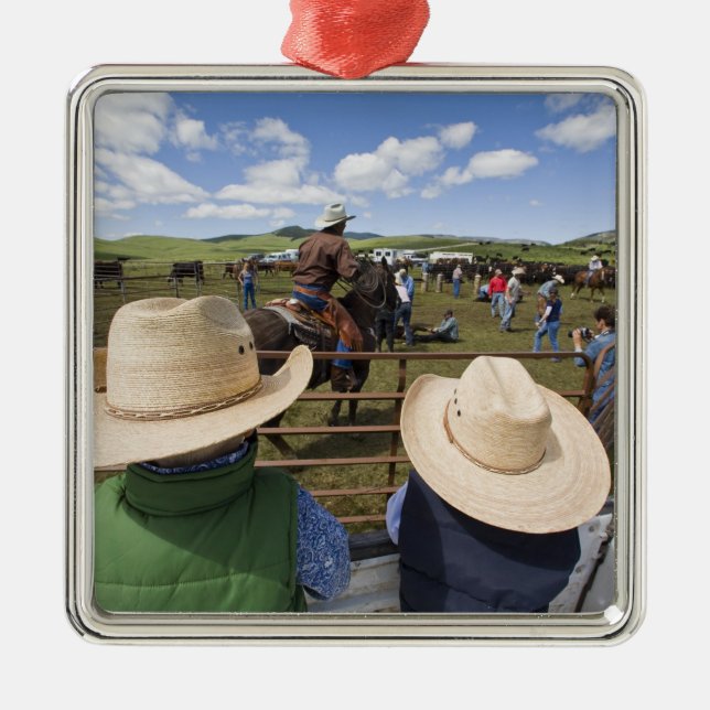 Unga pojkar på Hughes Ranch 2007 Julgransprydnad Metall (Framsidan)