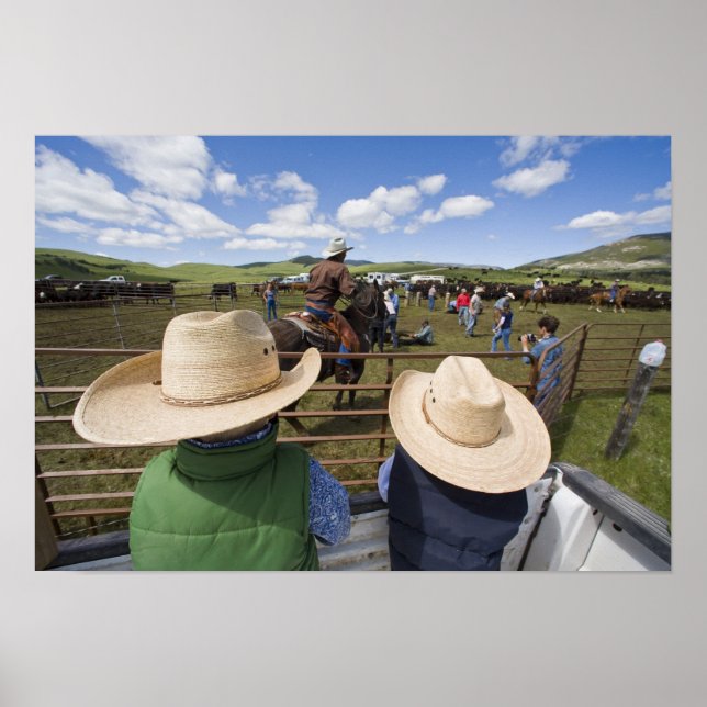 Unga pojkar tar i Hughes Ranch 2007 Poster (Framsidan)