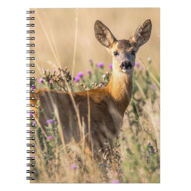 Unga rådjur på ängen anteckningsbok (Framsidan)
