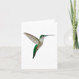Unga ruby-troated Hummingbird Kort