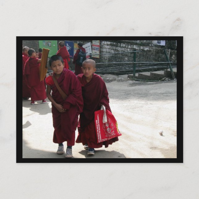 Unga tibetanska buddistmunkar, Dharamsala, Indien Vykort (Framsida)
