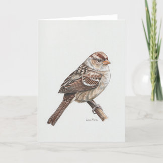 Unga vita tonerkonsthöljet Sparrow Art Card Tack Kort