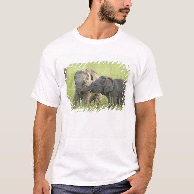 Ungar av Indisk / Asiatisk Elefant Tröja (Framsida)
