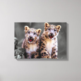 Ungar för snöLeopard Canvastryck