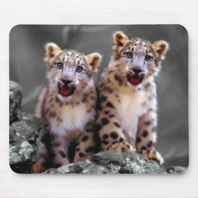 Ungar för snöLeopard Musmatta (Framsidan)
