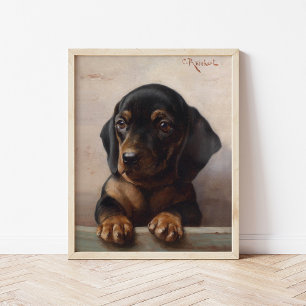 Unge Dachshund Carl Reichert Poster