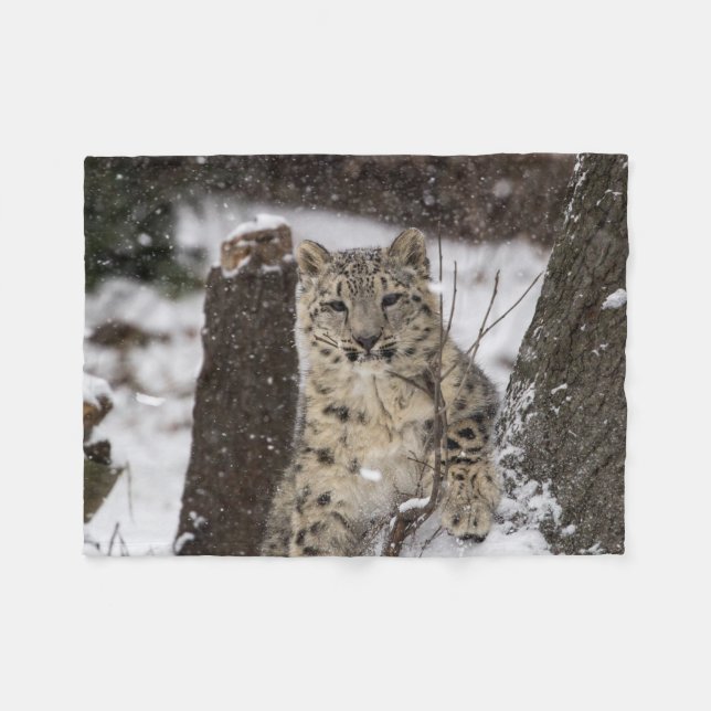 Unge för snöLeopard Fleecefilt (Framsidan (Horisontell))