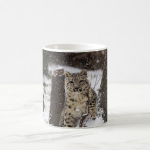 Unge för snöLeopard Kaffemugg