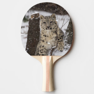 Unge för snöLeopard Pingisracket