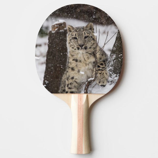 Unge för snöLeopard Pingisracket (Framsidan)