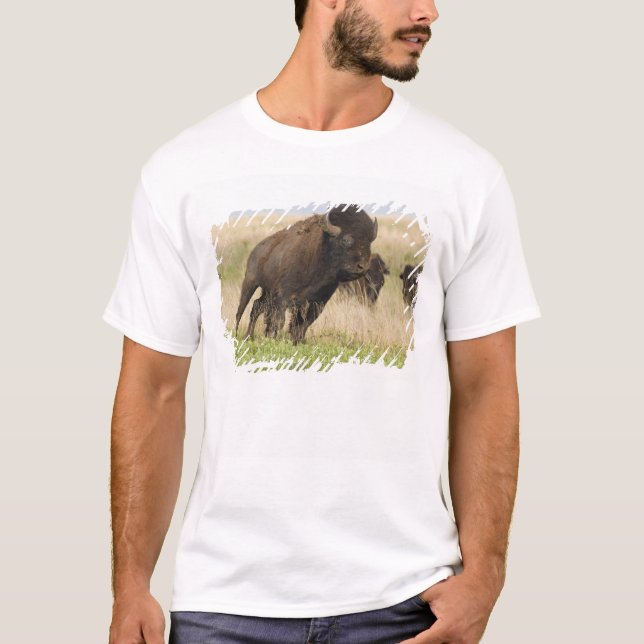 Unge och temperamentsfull bison-tjur på Tallgrass Tee Shirt (Framsida)