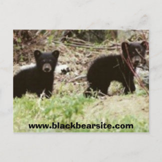 unge, www.blackbearsite.com vykort